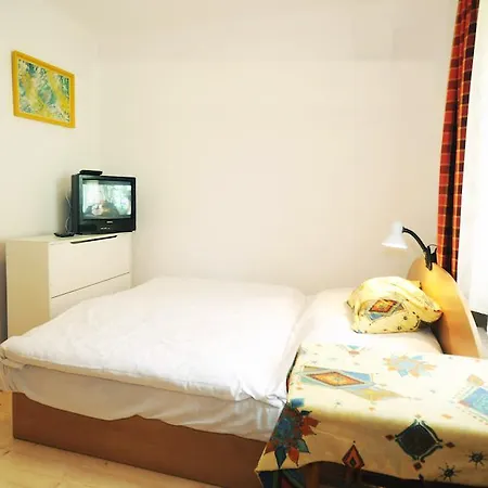 ゲストハウス U Holosov Smrečany