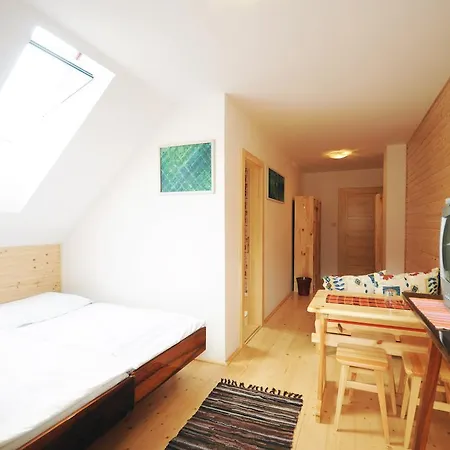 ゲストハウス U Holosov